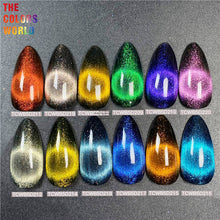 Load image into Gallery viewer, Cat Eye Chameleon Magnetic Pigment