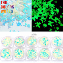 Load image into Gallery viewer, Luminous Glow In Dark Glitter