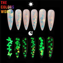 Load image into Gallery viewer, Luminous Glow In Dark Glitter