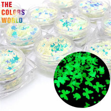 Load image into Gallery viewer, Luminous Glow In Dark Glitter