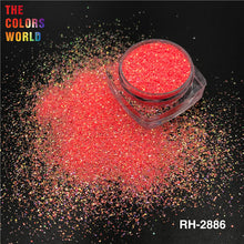 Load image into Gallery viewer, Summer Color Rainbow Finer Glitter