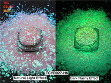 Load image into Gallery viewer, Luminous Glow In Dark Chunky Glitter