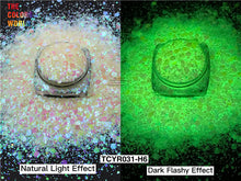 Load image into Gallery viewer, Luminous Glow In Dark Chunky Glitter