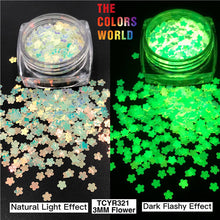 Load image into Gallery viewer, Luminous Glow In Dark Glitter