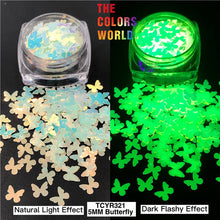 Load image into Gallery viewer, Luminous Glow In Dark Glitter