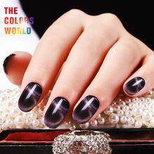 Load image into Gallery viewer, TCT-388 9D Chameleon Magnetic Cat Eye Nail Powder Galaxy Cat Eye Starry Sky Magnetic Party Decoration Pigment Aurora Glitter Mermaid Manicure