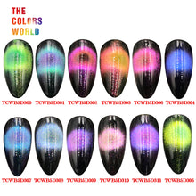 Load image into Gallery viewer, TCT-388 9D Chameleon Magnetic Cat Eye Nail Powder Galaxy Cat Eye Starry Sky Magnetic Party Decoration Pigment Aurora Glitter Mermaid Manicure