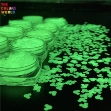 Load image into Gallery viewer, Luminous Glow in Dark Glitter