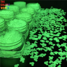 Load image into Gallery viewer, Luminous Glow in Dark Glitter