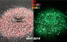 Load image into Gallery viewer, Glow In Dark Halloween Chunky Glitter