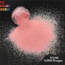 Load image into Gallery viewer, Pink Colors Series Nails And Hair Fine Glitter
