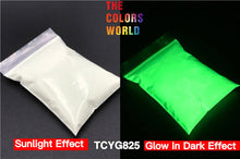 Load image into Gallery viewer, Luminous Glow In Dark Pigment Noctilucent Powder Manicure Guidepost Night Fishing
