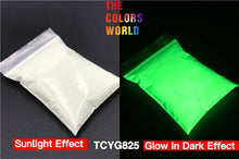 Load image into Gallery viewer, Luminous Glow In Dark Pigment Noctilucent Powder Manicure Guidepost Night Fishing