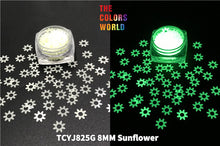 Load image into Gallery viewer, TCT-744 Luminous Glow in Dark Shape Glitter Long Last Glowing Noctilucent Glitter Shape
