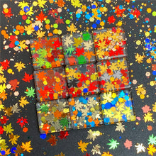 Load image into Gallery viewer, TCT-929 Autumn Maple Leaf Shape Mix Glitter Sequins, Fall Colors, Hexagon &amp; Maple Leaf Mix, Vegan Glitter for Nail Art, Card Making, Epoxy Resin DIY, PET Material, MSDS Certified, Guangdong China, Wholesale Available
